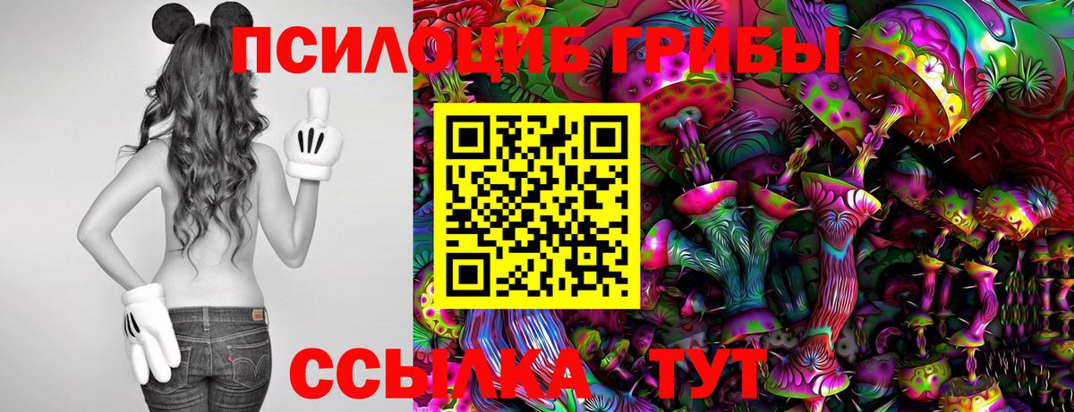 Галлюциногенные грибы Psilocybe Сергиев Посад
